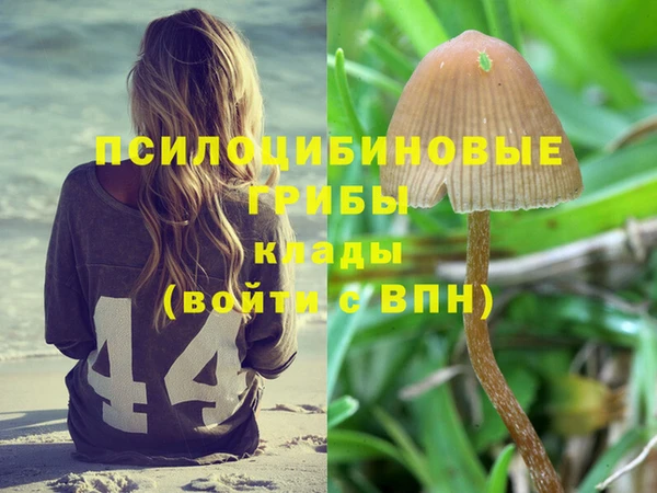 круглые Касимов