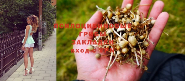 круглые Касимов