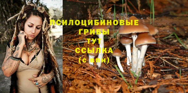 кокаин Карпинск