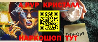 бошки Гагарин