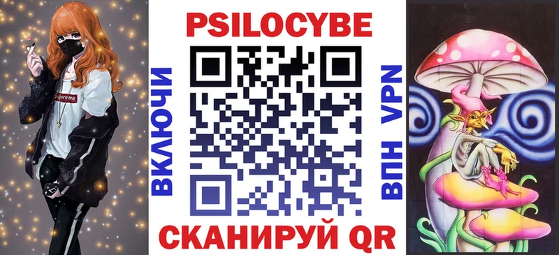 наркота  Кыштым  Галлюциногенные грибы Psilocybe 