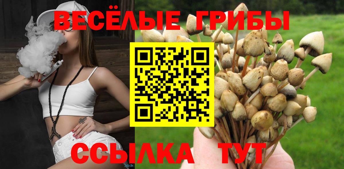 Псилоцибиновые грибы мухоморы  Галлюциногенные грибы прущие грибы  купить  сайты  Кыштым  Вход с VPN 